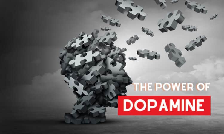 Dopamine's Crucial Role In A Fitness Transformation