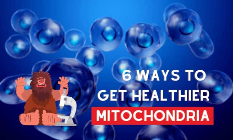 Healthy Mitochondria Are The Key To Reversing Ageing