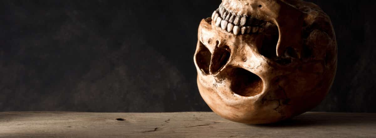 13 Reasons Our Ancestors Were Meat Eaters