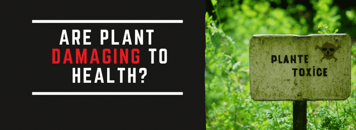 The Hidden Dangers Of Plant Toxins