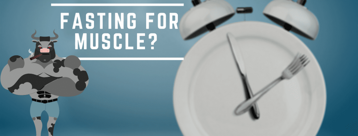 Can You Use Intermittent Fasting For Muscle Gain?