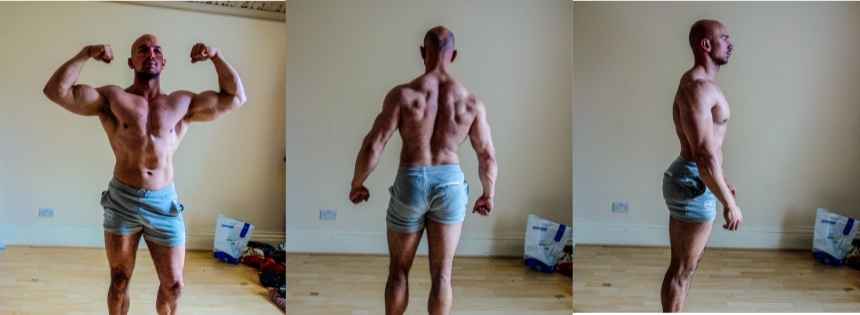 carnivore bulking before after