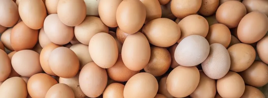 ketogenic diet for cancer